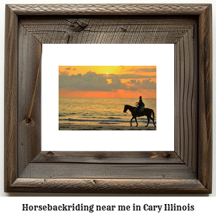 horseback riding near me in Cary, Illinois